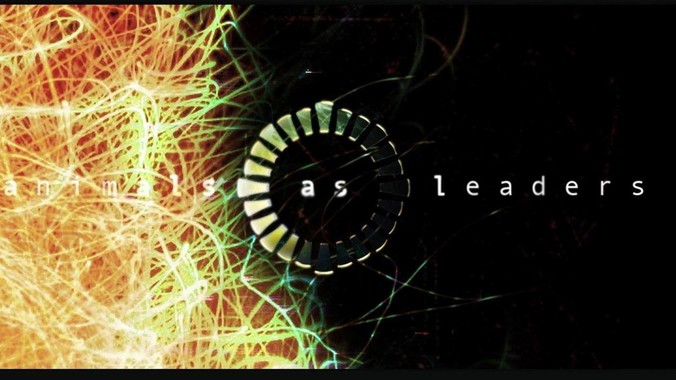 为什么年轻人不要养龟？